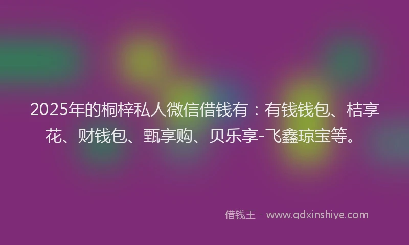 2025年的桐梓私人微信借钱有：有钱钱包、桔享花、财钱包、甄享购、贝乐享-飞鑫琼宝等。