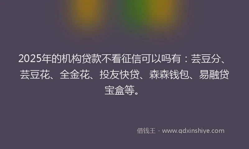 2025年的机构贷款不看征信可以吗有：芸豆分、芸豆花、全金花、投友快贷、森森钱包、易融贷宝盒等。
