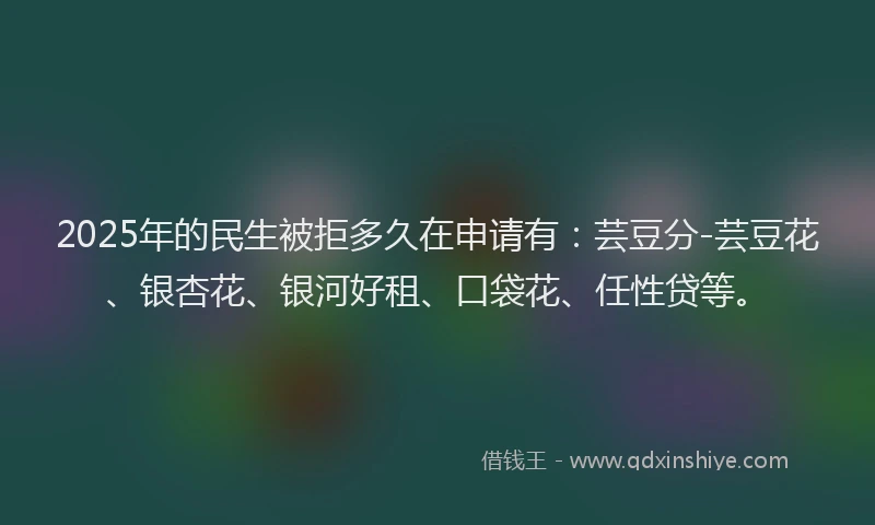 2025年的民生被拒多久在申请有：芸豆分-芸豆花、银杏花、银河好租、口袋花、任性贷等。