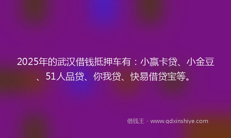 2025年的武汉借钱抵押车有：小赢卡贷、小金豆、51人品贷、你我贷、快易借贷宝等。