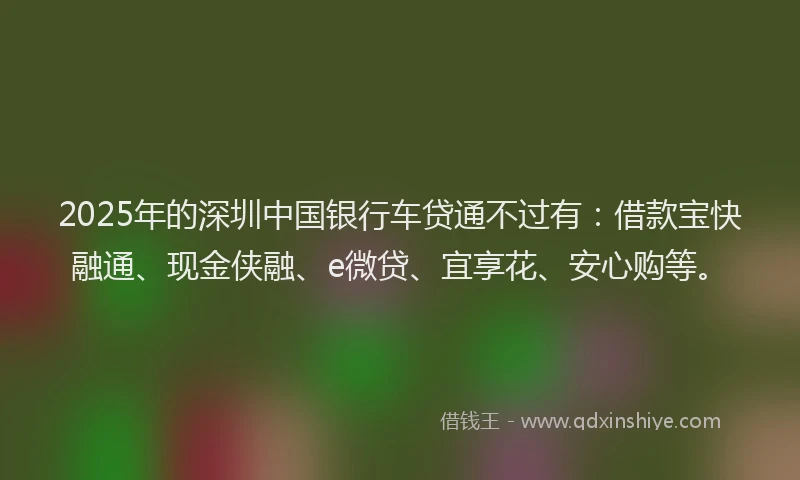 2025年的深圳中国银行车贷通不过有：借款宝快融通、现金侠融、e微贷、宜享花、安心购等。