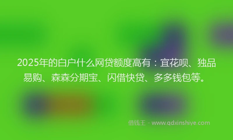 2025年的白户什么网贷额度高有：宜花呗、独品易购、森森分期宝、闪借快贷、多多钱包等。