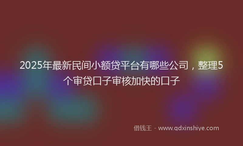 2025年最新民间小额贷平台有哪些公司，整理5个审贷口子审核加快的口子