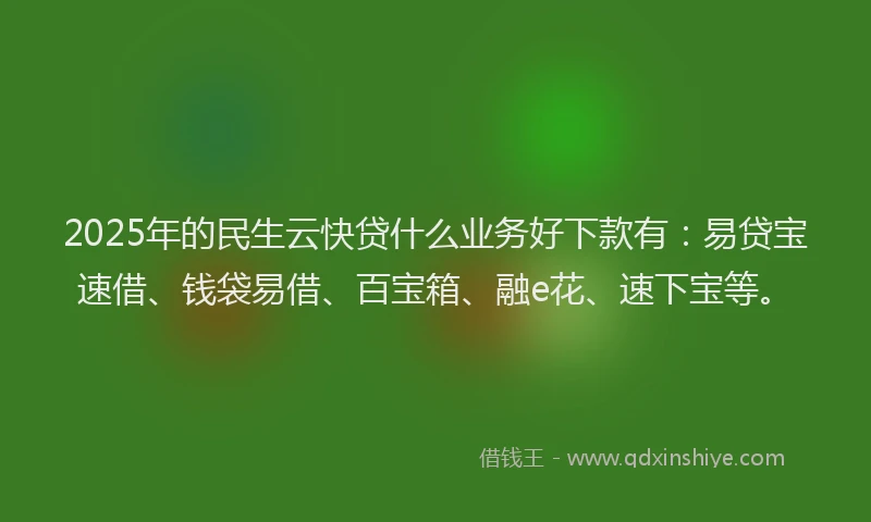 2025年的民生云快贷什么业务好下款有：易贷宝速借、钱袋易借、百宝箱、融e花、速下宝等。