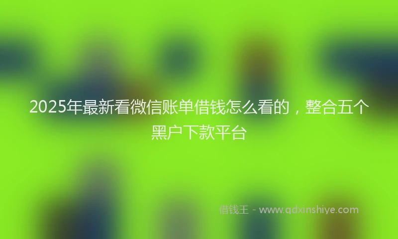 2025年最新看微信账单借钱怎么看的，整合五个黑户下款平台
