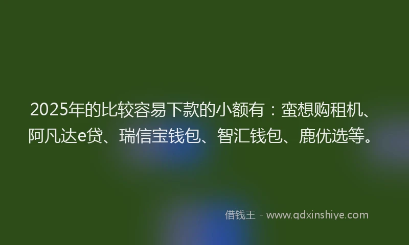 2025年的比较容易下款的小额有：蛮想购租机、阿凡达e贷、瑞信宝钱包、智汇钱包、鹿优选等。