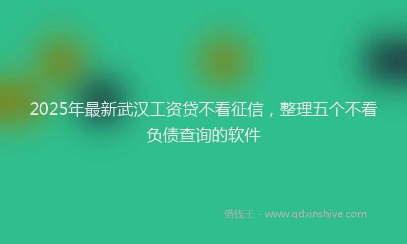 2025年最新武汉工资贷不看征信，整理五个不看负债查询的软件
