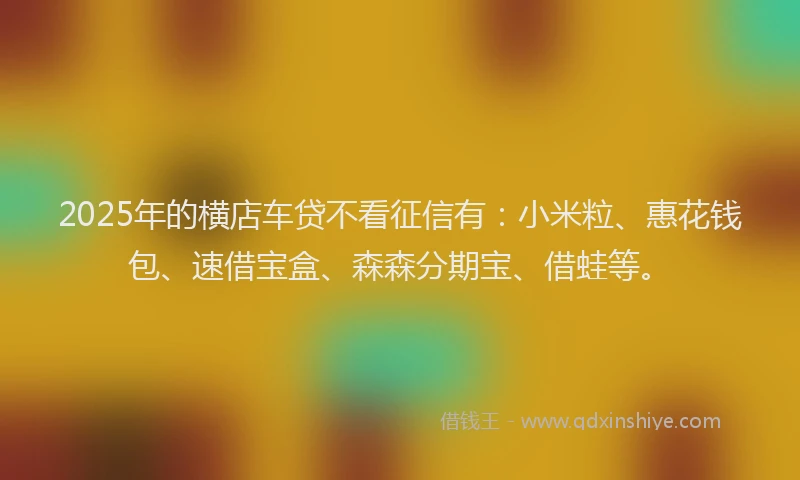 2025年的横店车贷不看征信有：小米粒、惠花钱包、速借宝盒、森森分期宝、借蛙等。