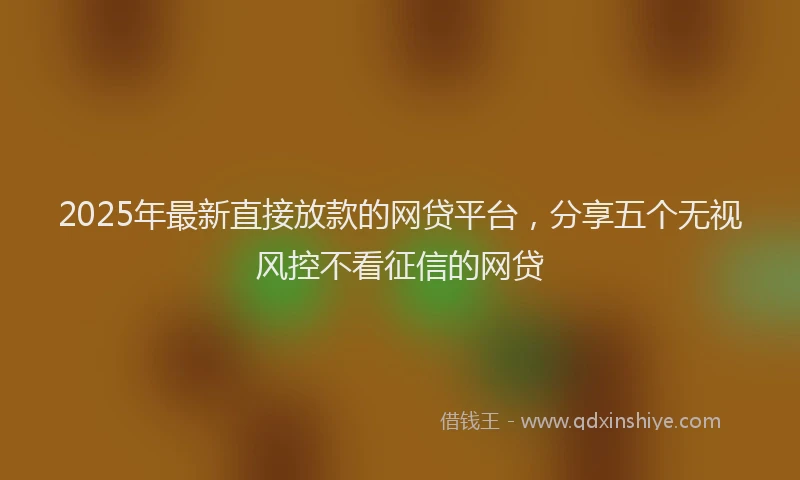 2025年最新直接放款的网贷平台，分享五个无视风控不看征信的网贷