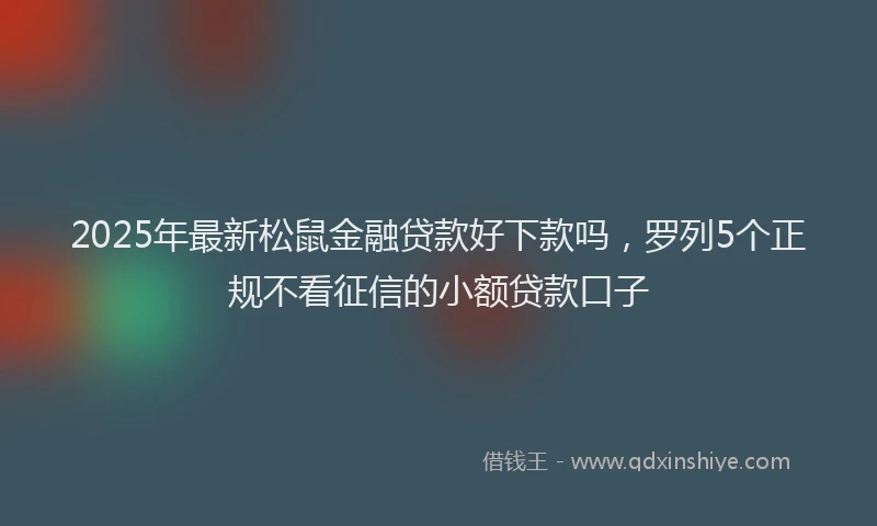 2025年最新松鼠金融贷款好下款吗，罗列5个正规不看征信的小额贷款口子
