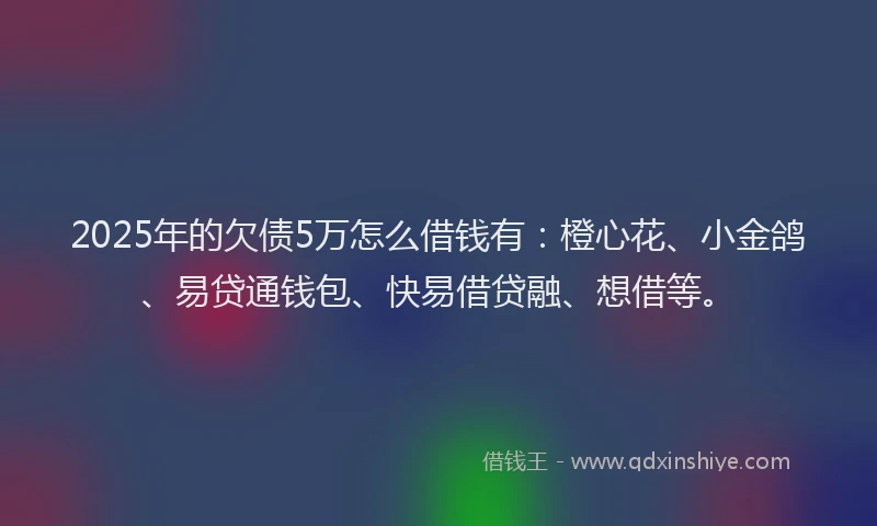 2025年的欠债5万怎么借钱有：橙心花、小金鸽、易贷通钱包、快易借贷融、想借等。