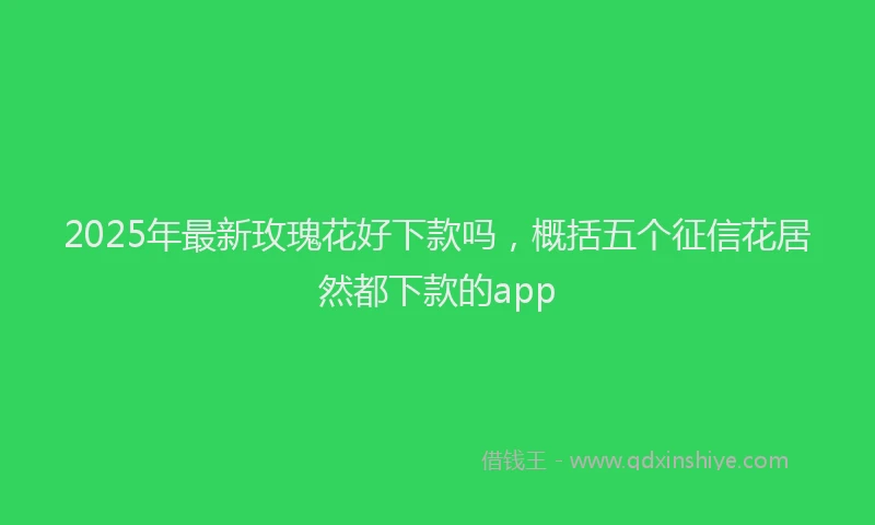 2025年最新玫瑰花好下款吗，概括五个征信花居然都下款的app