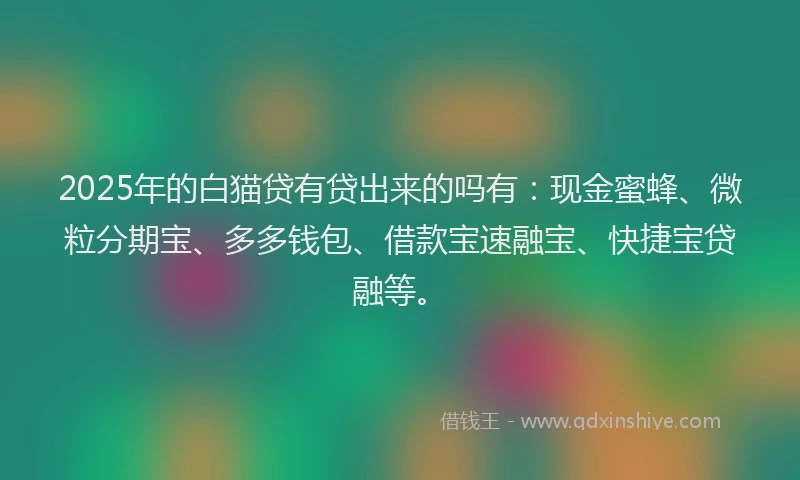 2025年的白猫贷有贷出来的吗有:现金蜜蜂、微粒分期宝、多多钱包、借款宝速融宝、快捷宝贷融等。