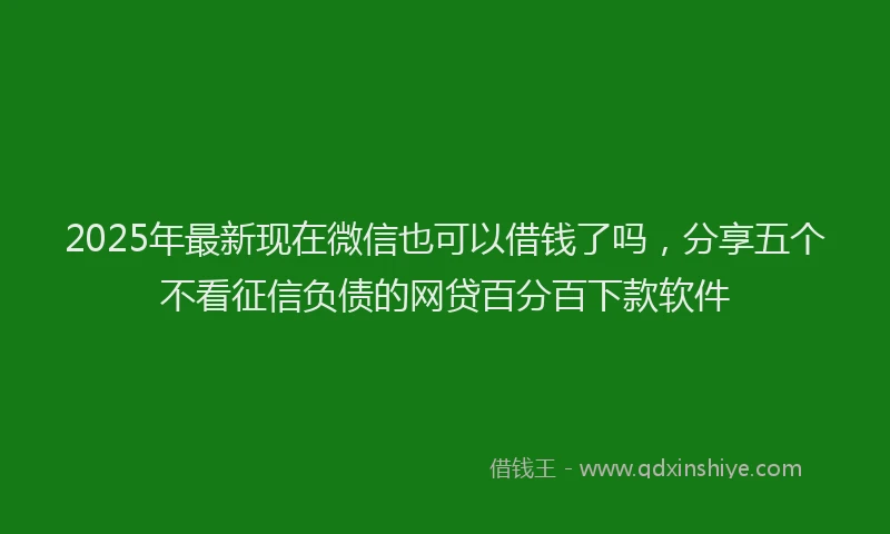2025年最新现在微信也可以借钱了吗,分享五个不看征信负债的网贷百分百下款软件