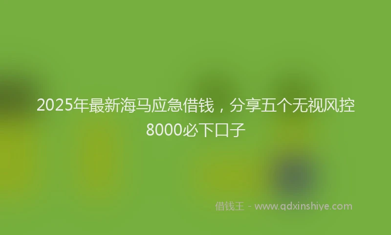 2025年最新海马应急借钱，分享五个无视风控8000必下口子