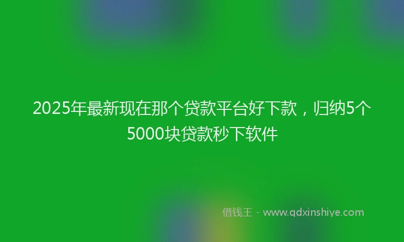 2025年最新现在那个贷款平台好下款，归纳5个5000块贷款秒下软件
