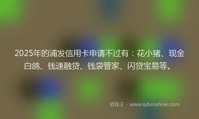 2025年的浦发信用卡申请不过有：花小猪、现金白鸽、钱速融贷、钱袋管家、闪贷宝易等。