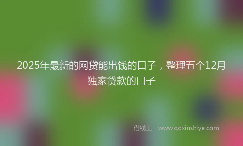 2025年最新的网贷能出钱的口子，整理五个12月独家贷款的口子