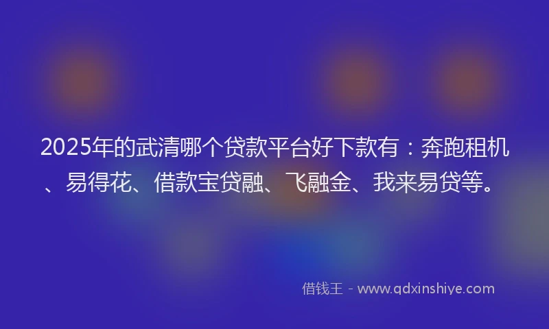 2025年的武清哪个贷款平台好下款有：奔跑租机、易得花、借款宝贷融、飞融金、我来易贷等。