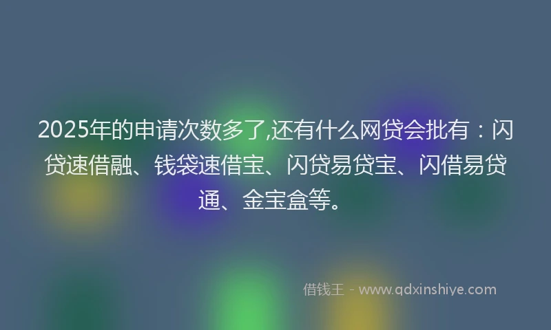 2025年的申请次数多了,还有什么网贷会批有：闪贷速借融、钱袋速借宝、闪贷易贷宝、闪借易贷通、金宝盒等。