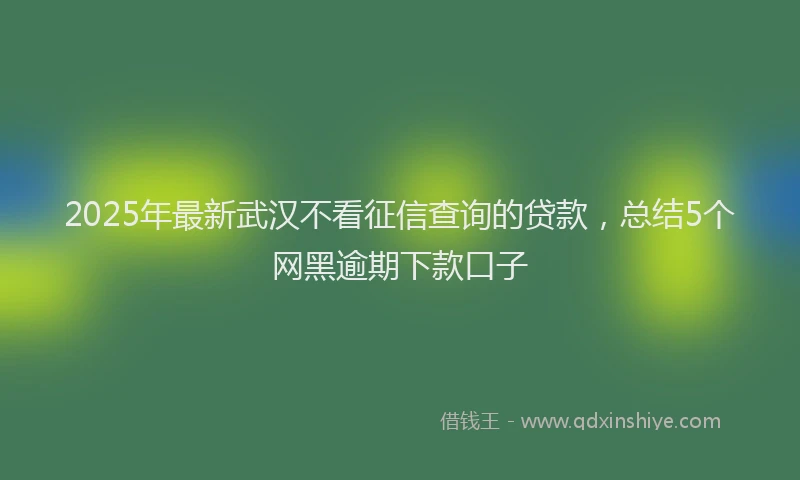 2025年最新武汉不看征信查询的贷款，总结5个网黑逾期下款口子