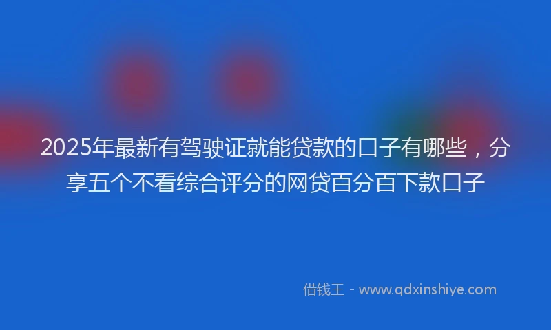 2025年最新有驾驶证就能贷款的口子有哪些，分享五个不看综合评分的网贷百分百下款口子