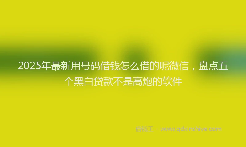 2025年最新用号码借钱怎么借的呢微信，盘点五个黑白贷款不是高炮的软件