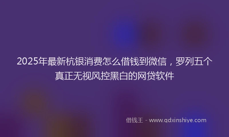 2025年最新杭银消费怎么借钱到微信，罗列五个真正无视风控黑白的网贷软件