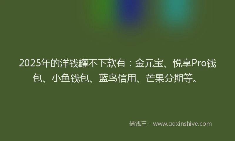 2025年的洋钱罐不下款有：金元宝、悦享Pro钱包、小鱼钱包、蓝鸟信用、芒果分期等。