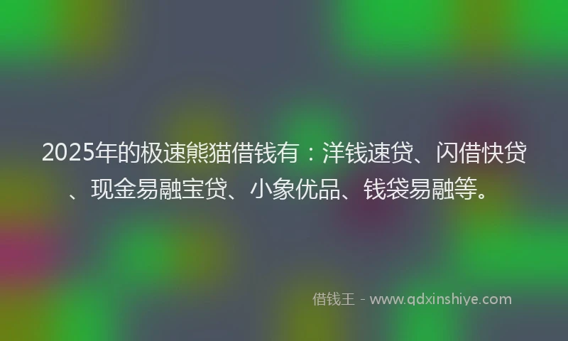 2025年的极速熊猫借钱有：洋钱速贷、闪借快贷、现金易融宝贷、小象优品、钱袋易融等。