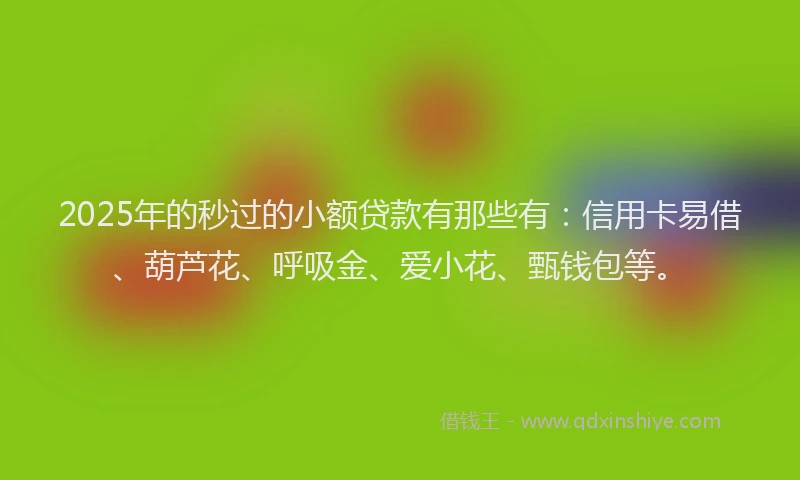 2025年的秒过的小额贷款有那些有：信用卡易借、葫芦花、呼吸金、爱小花、甄钱包等。