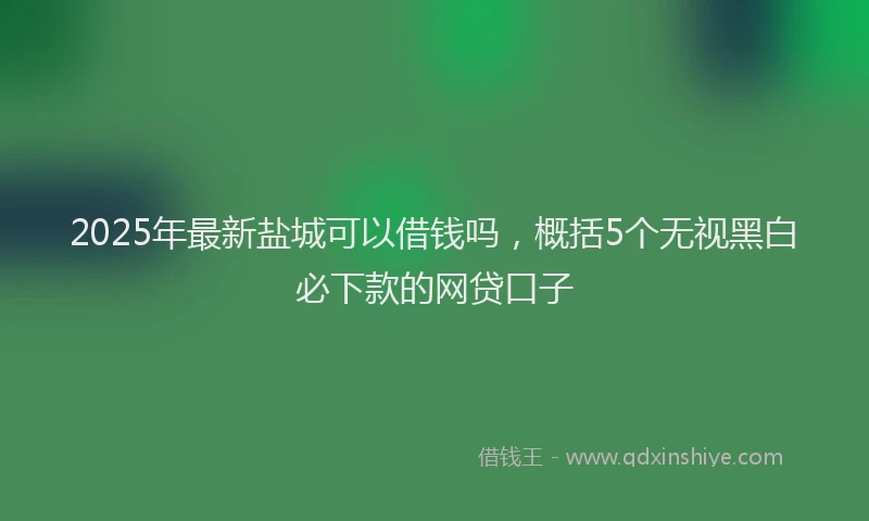 2025年最新盐城可以借钱吗，概括5个无视黑白必下款的网贷口子