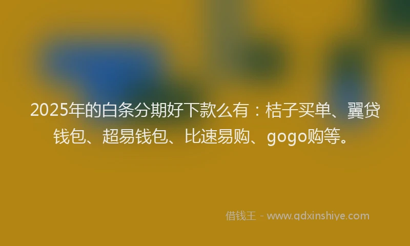 2025年的白条分期好下款么有：桔子买单、翼贷钱包、超易钱包、比速易购、gogo购等。