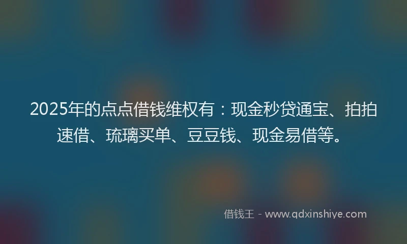 2025年的点点借钱维权有：现金秒贷通宝、拍拍速借、琉璃买单、豆豆钱、现金易借等。
