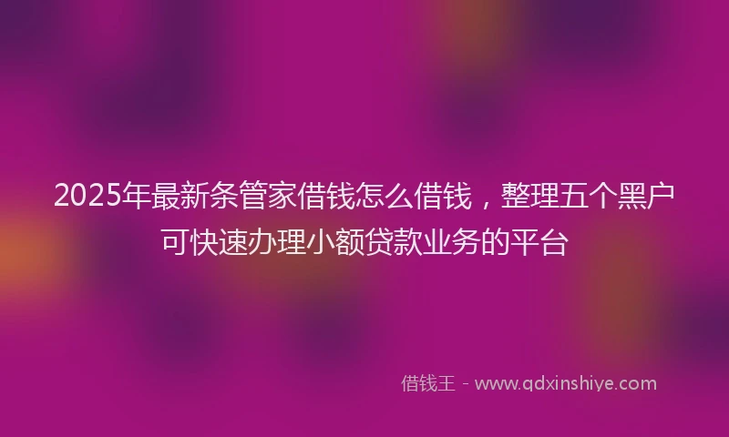 2025年最新条管家借钱怎么借钱，整理五个黑户可快速办理小额贷款业务的平台
