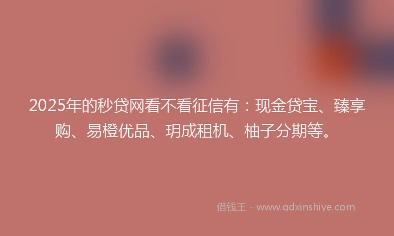 2025年的秒贷网看不看征信有：现金贷宝、臻享购、易橙优品、玥成租机、柚子分期等。