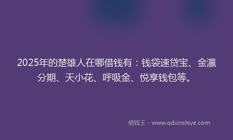 2025年的楚雄人在哪借钱有：钱袋速贷宝、金瀛分期、天小花、呼吸金、悦享钱包等。