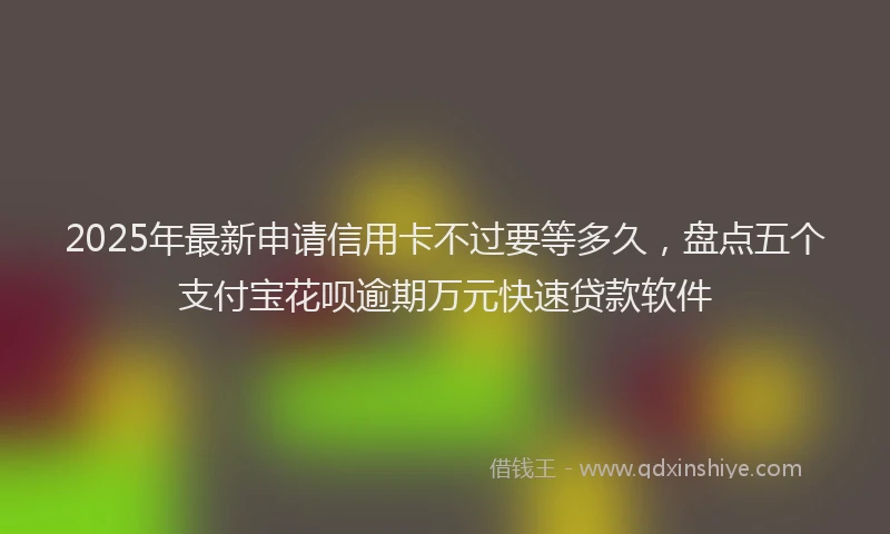 2025年最新申请信用卡不过要等多久，盘点五个支付宝花呗逾期万元快速贷款软件