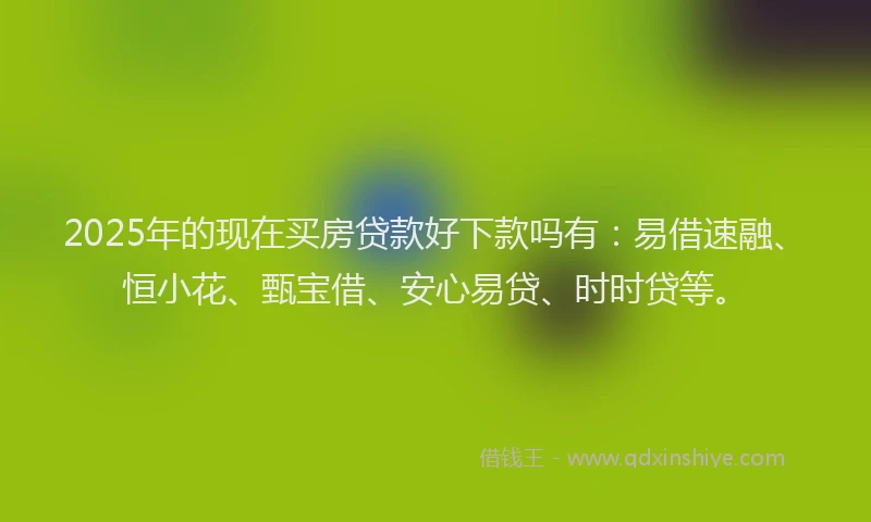 2025年的现在买房贷款好下款吗有：易借速融、恒小花、甄宝借、安心易贷、时时贷等。