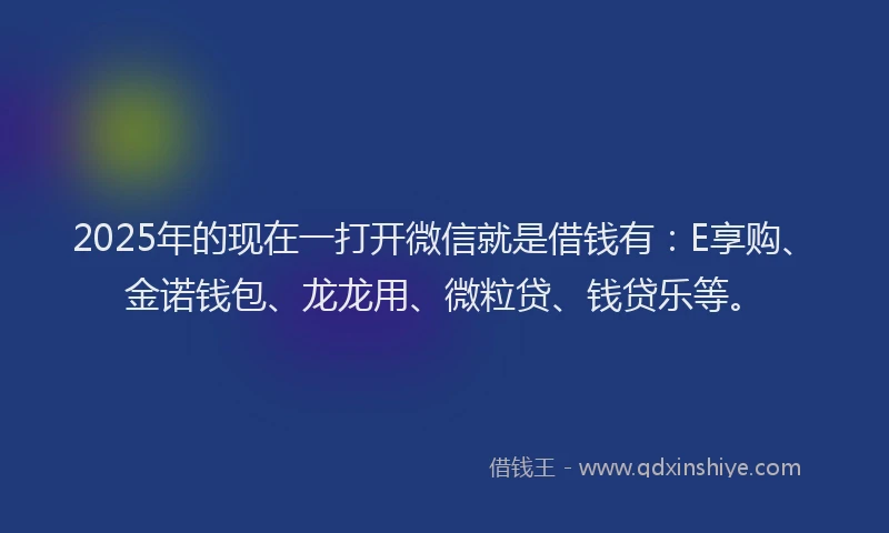 2025年的现在一打开微信就是借钱有：E享购、金诺钱包、龙龙用、微粒贷、钱贷乐等。