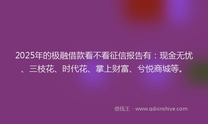 2025年的极融借款看不看征信报告有：现金无忧、三枝花、时代花、掌上财富、兮悦商城等。