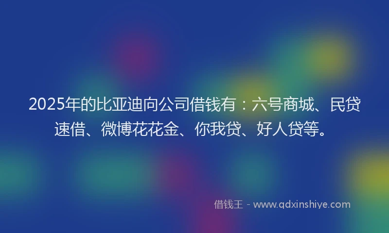 2025年的比亚迪向公司借钱有：六号商城、民贷速借、微博花花金、你我贷、好人贷等。