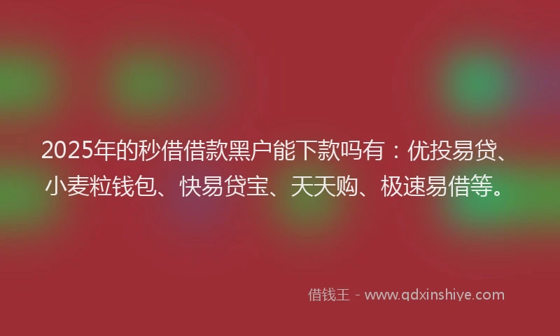 2025年的秒借借款黑户能下款吗有：优投易贷、小麦粒钱包、快易贷宝、天天购、极速易借等。