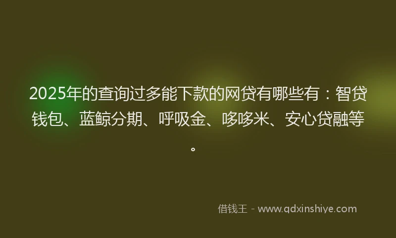 2025年的查询过多能下款的网贷有哪些有：智贷钱包、蓝鲸分期、呼吸金、哆哆米、安心贷融等。