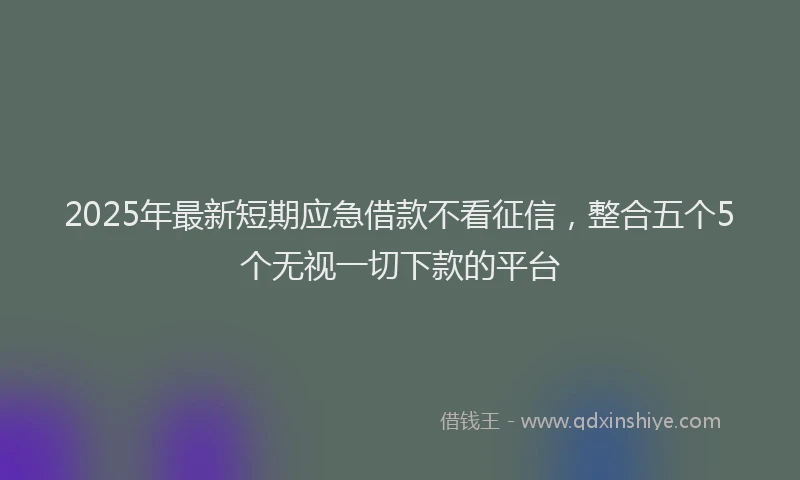 2025年最新短期应急借款不看征信，整合五个5个无视一切下款的平台