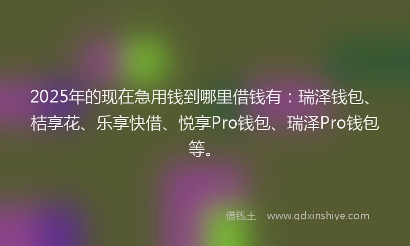 2025年的现在急用钱到哪里借钱有：瑞泽钱包、桔享花、乐享快借、悦享Pro钱包、瑞泽Pro钱包等。