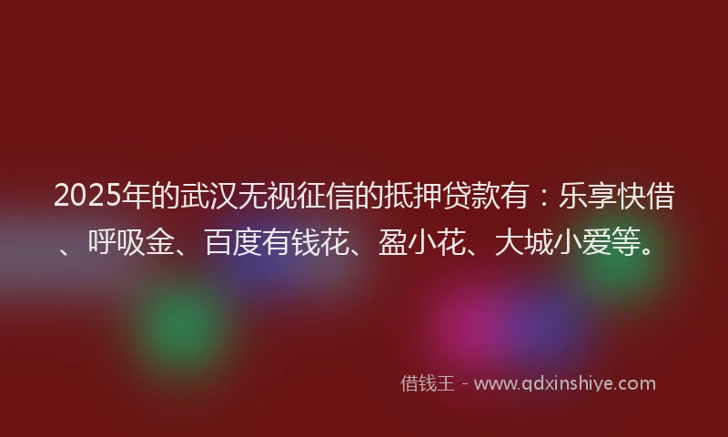 2025年的武汉无视征信的抵押贷款有：乐享快借、呼吸金、百度有钱花、盈小花、大城小爱等。