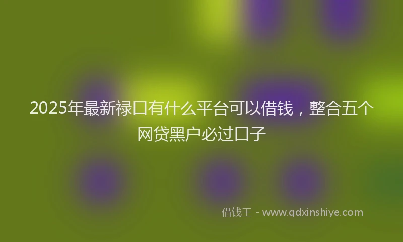 2025年最新禄口有什么平台可以借钱，整合五个网贷黑户必过口子
