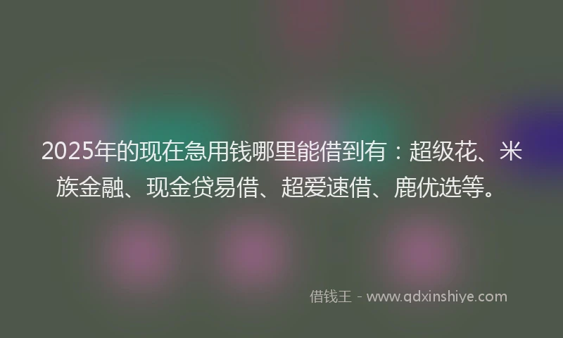 2025年的现在急用钱哪里能借到有：超级花、米族金融、现金贷易借、超爱速借、鹿优选等。