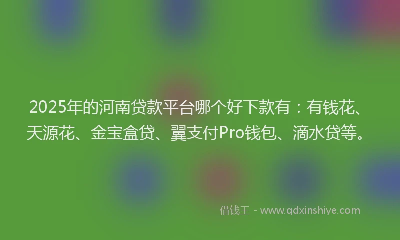 2025年的河南贷款平台哪个好下款有：有钱花、天源花、金宝盒贷、翼支付Pro钱包、滴水贷等。